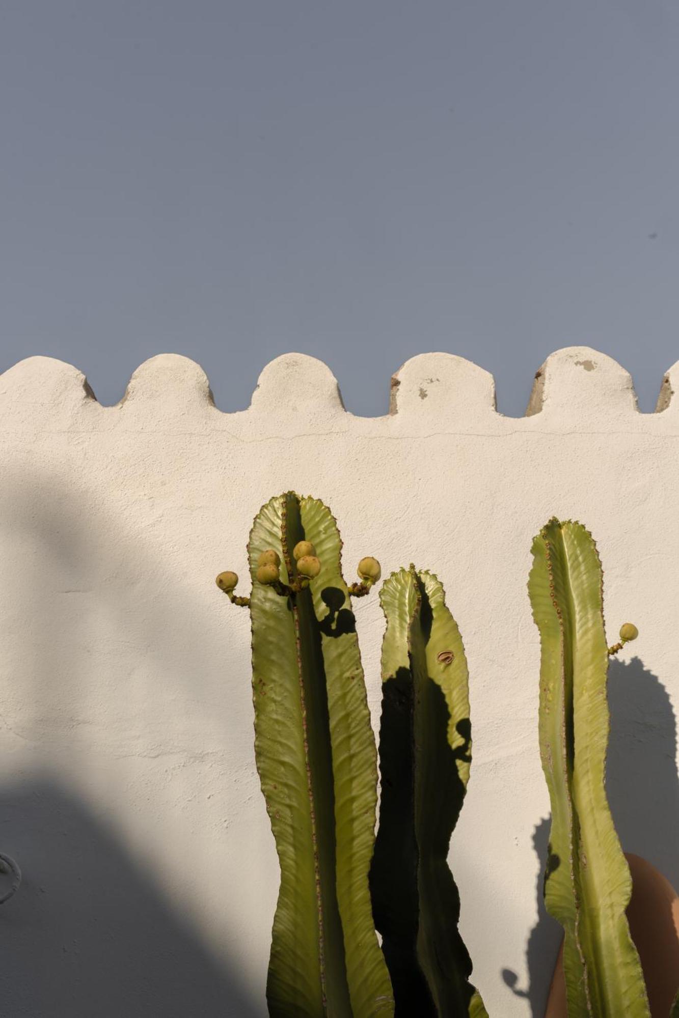 Casa Uva - Boutique Guest House Vejer de la Frontera Exteriér fotografie